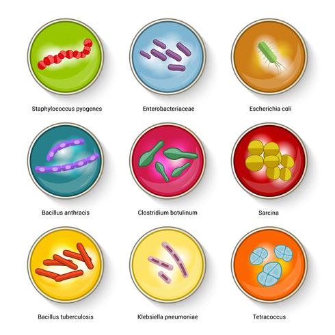 Conjunto de iconos de bacterias vector