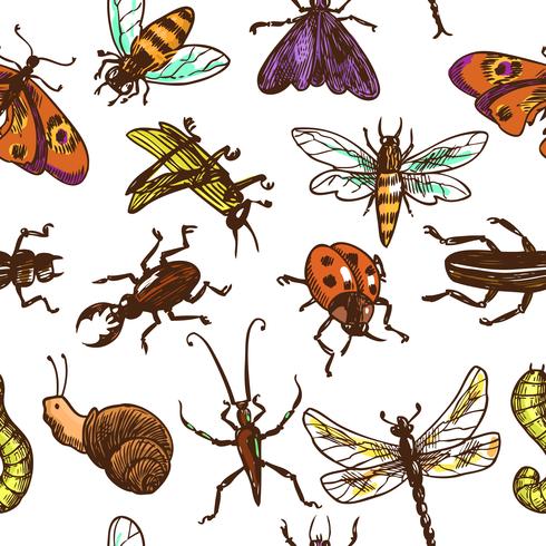 Insects sketch seamless pattern color vector