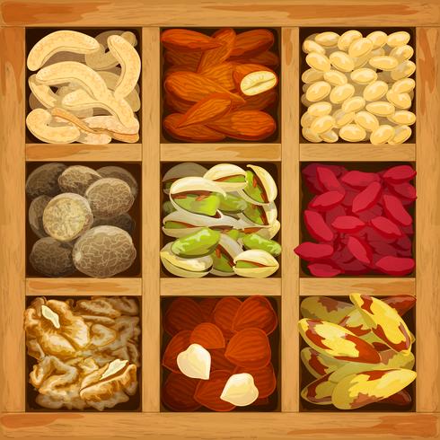 Colección de nueces surtidas vector