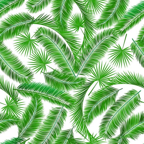 Patrón sin costuras de palmera tropical vector