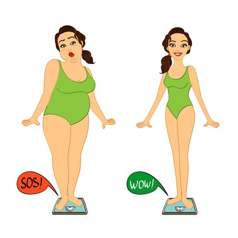 Fat and slim woman on weights scales vector