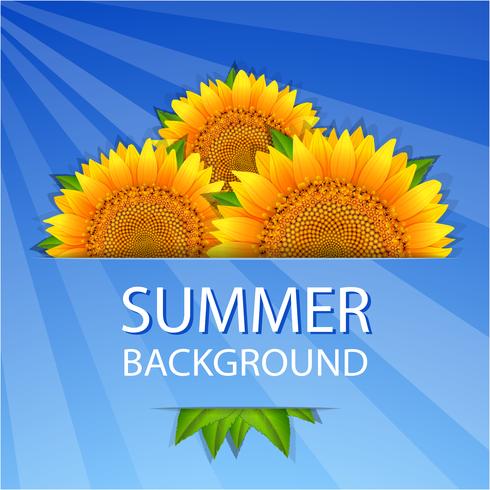 Summer sunflowers background vector