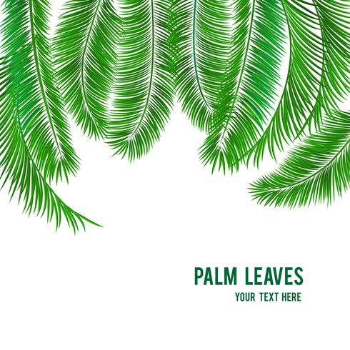 Tropical palm tree background banner vector