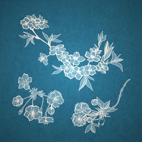 Blossoming cherry decorative elements vector