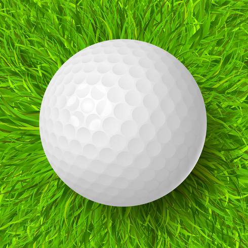 pelota de golf sobre hierba vector