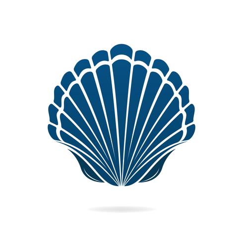 seashell vector