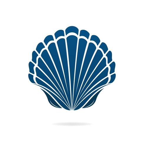 seashell vector