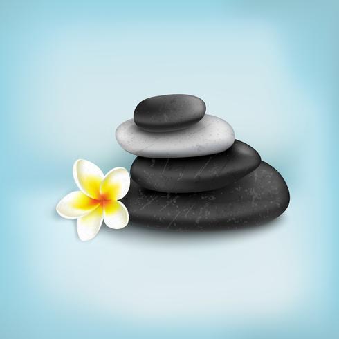 Piedras de spa con exóticas flores tropicales. vector