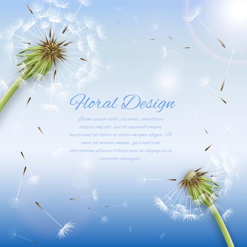 White dandelion with pollens background vector