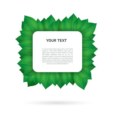 Green leaves frame vector