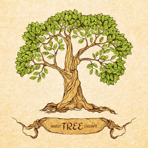 Green tree with place for text vector