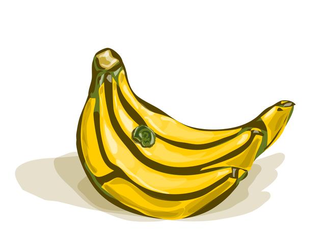 Bunch of bananas vector