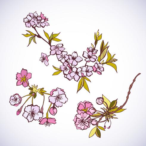 Florecientes elementos decorativos de sakura. vector