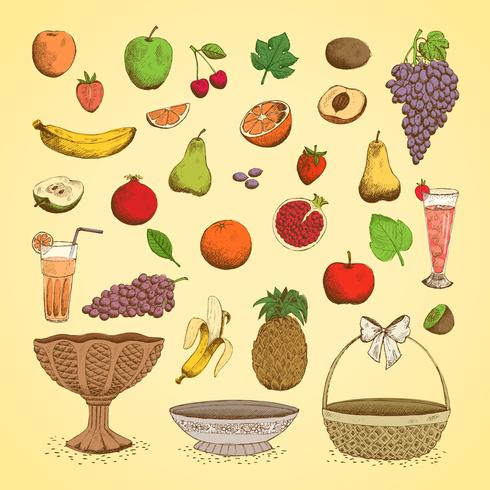 Set of juicy fresh fruits vector