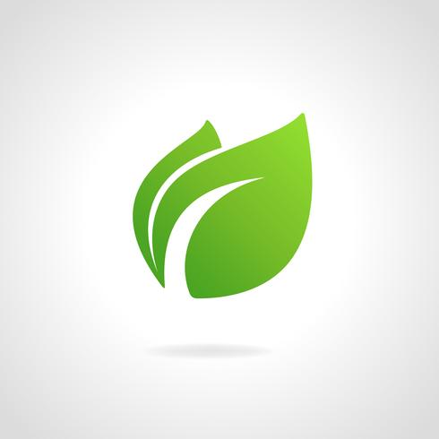 eco icon vector