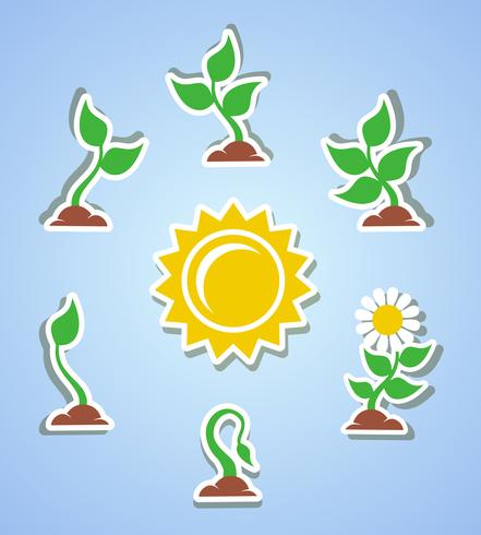 Growth progress icons vector