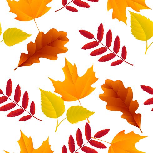 Seamless autumn leaves pattern vector