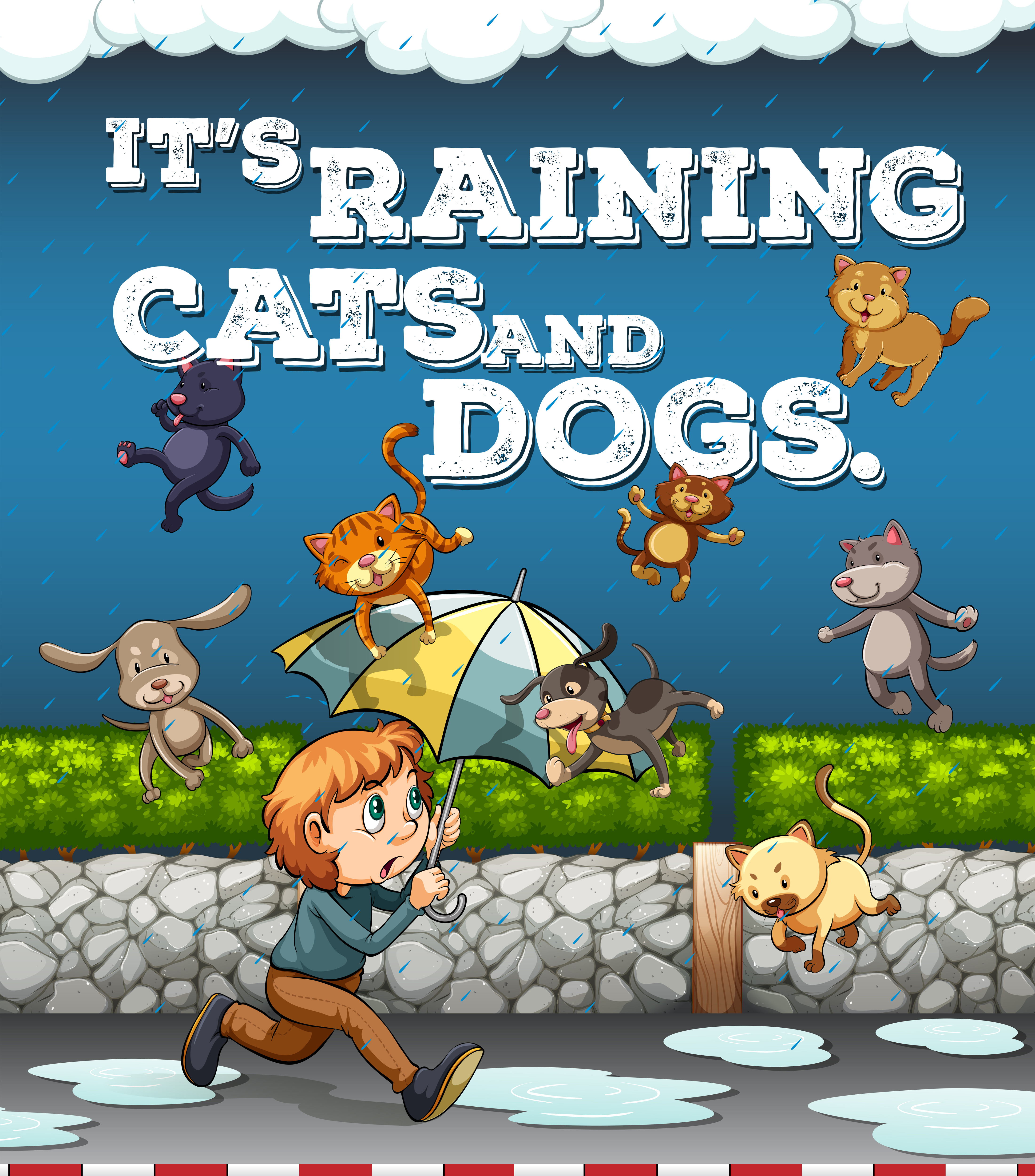 Idiom poster with raining cats and dogs 430226 Vector Art at Vecteezy