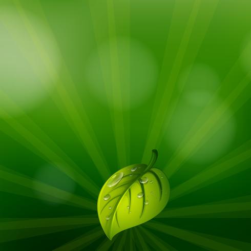 A green colored stationery with a leaf vector