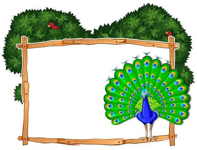 Frame template with peacock in bush vector