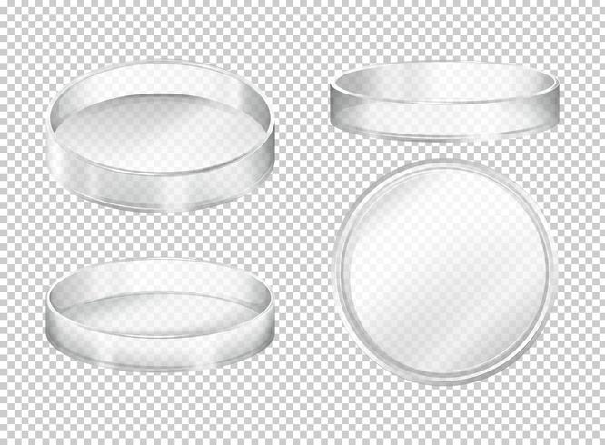 Round transparent plates on transparent background vector