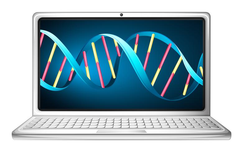 Computer laptop with DNA striat on screen vector