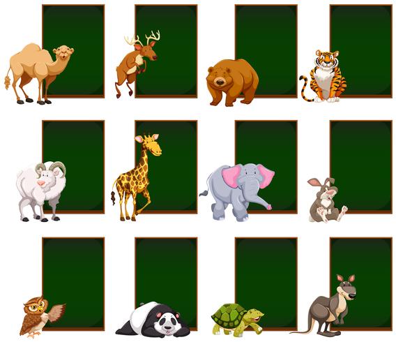 Blank chalkboard with wild animals vector