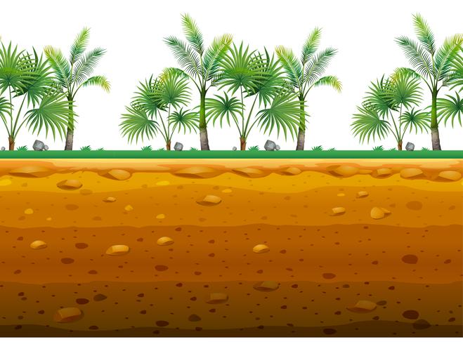 Palm garden on the ground in seamless design vector