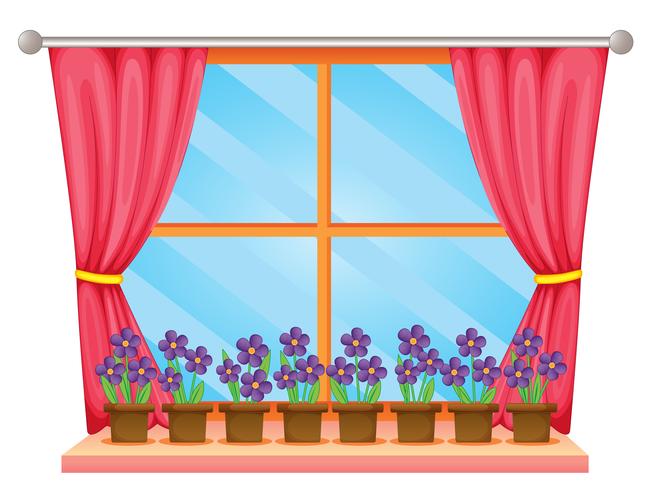 Window vector