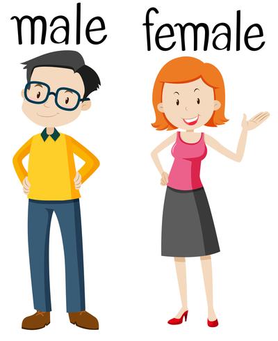 Opposite wordcard for male and female vector