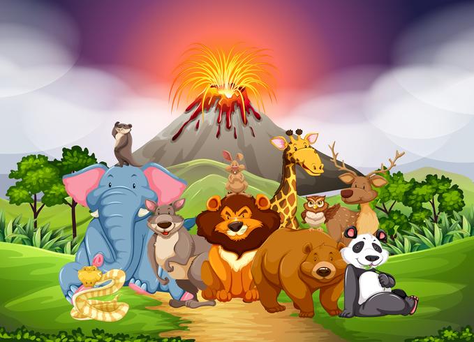 Wild animals in the field with volcano background vector