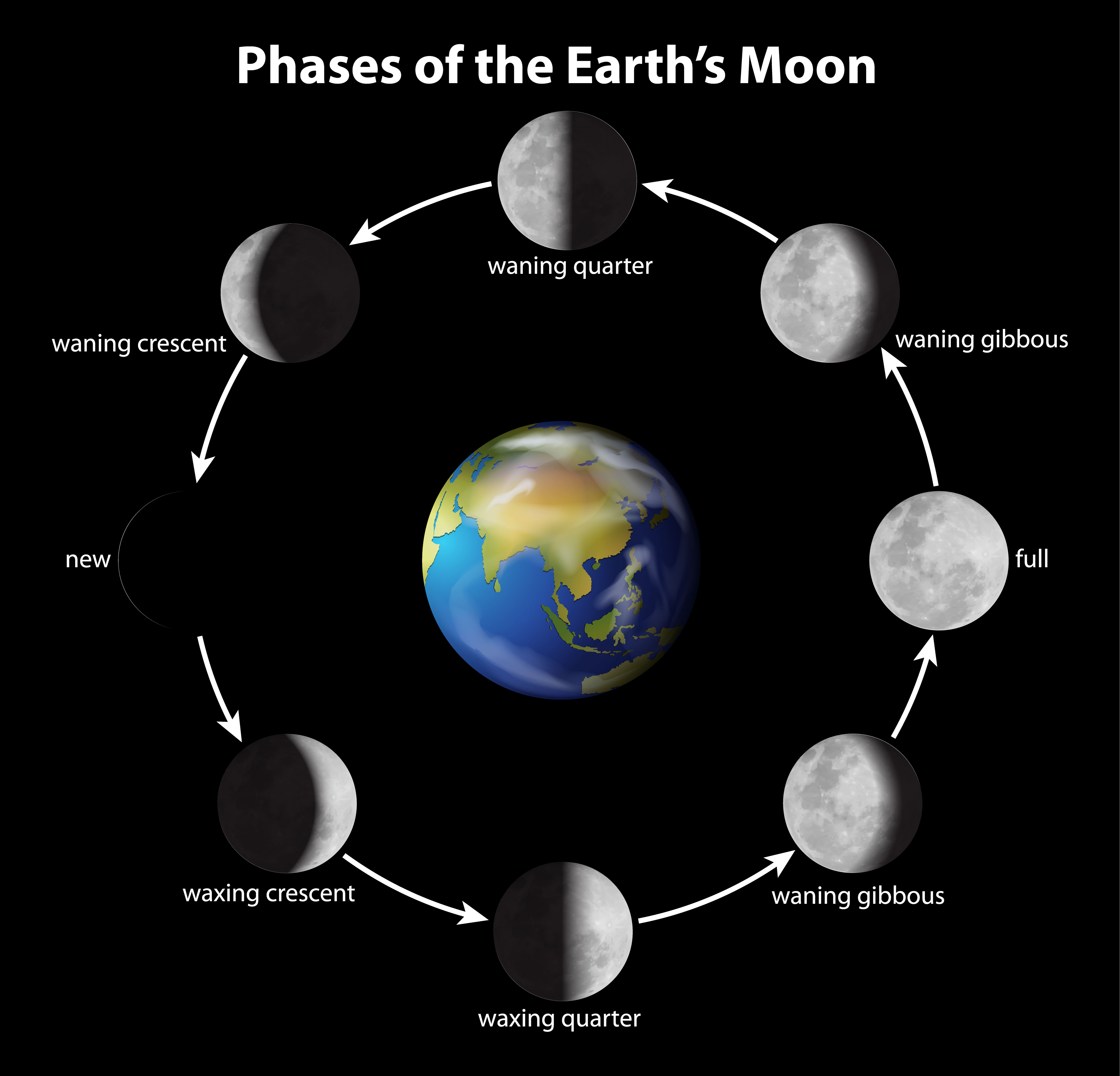 Arriba 98 Foto Imagenes De Las Fases De La Luna Con Nombres Alta