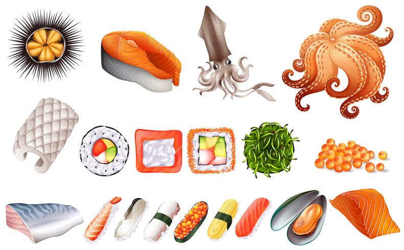 Set de sushi y marisco. vector