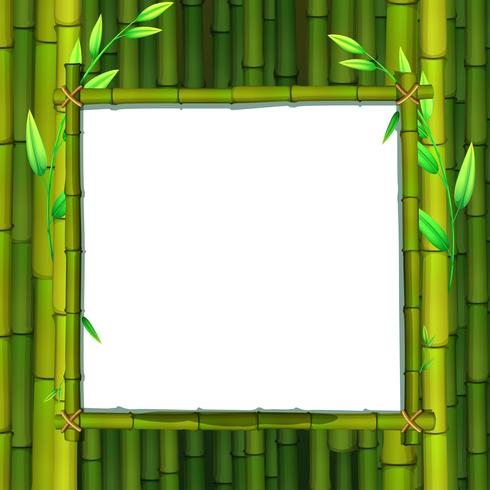 Frame		 vector