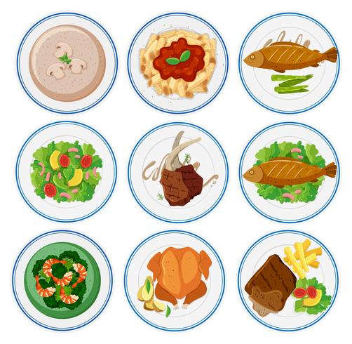 Different types of food on round plates vector