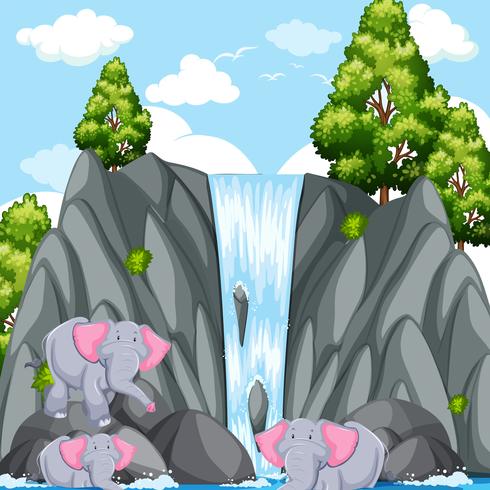 Scene with elephants at the waterfall vector