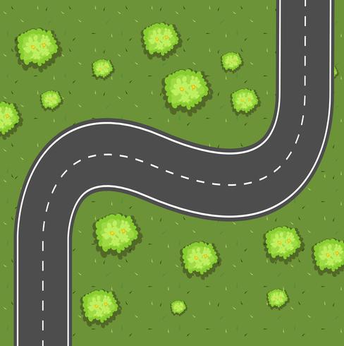 Aerial view of road on the green land vector