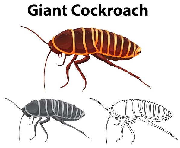 Doodle animal for giant cockroach vector