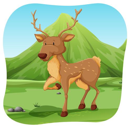 A deer vector