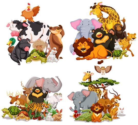 Four groups of wild animals vector