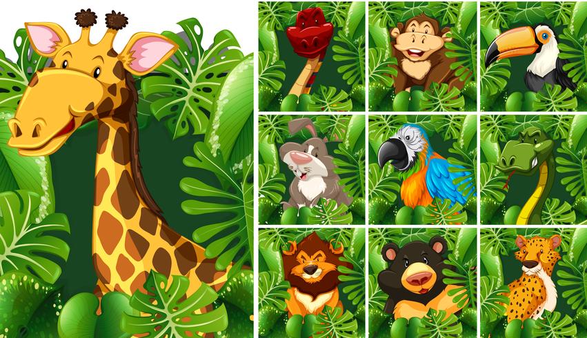 Many wildlife behind the green bush vector