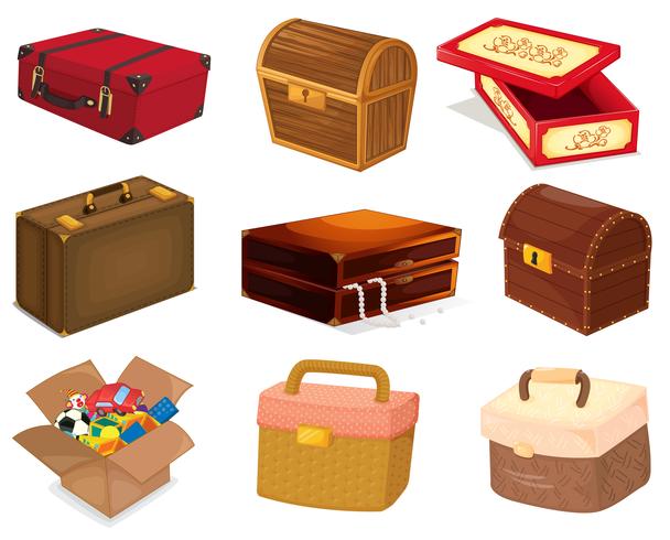 Bags and boxes vector