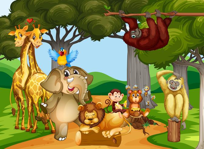 Wild animals living in the forest vector