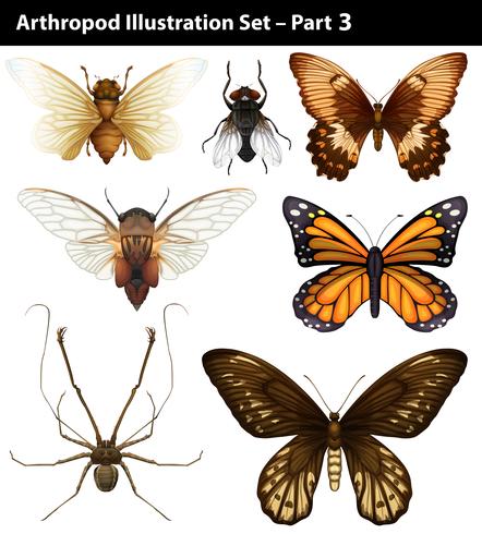 Arthropods vector