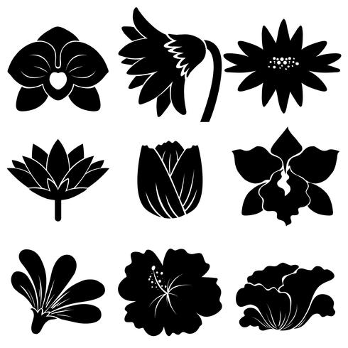 Conjunto de flores negras vector