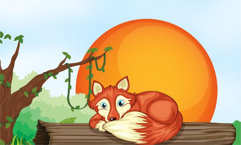 fox resting on wood vector