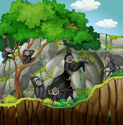 Group of gibbons climbing the tree vector