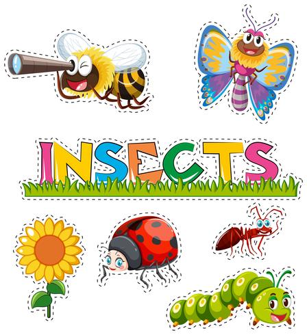 Muchos insectos en diseño de etiqueta. vector