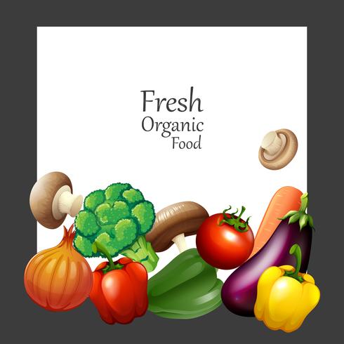 Verduras frescas y pancarta vector