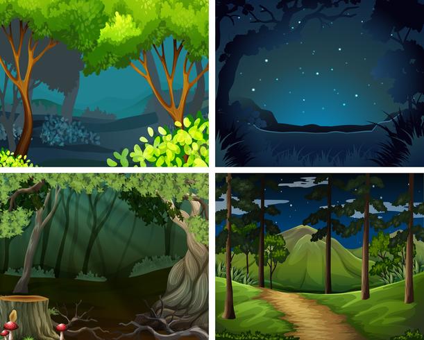 Cuatro escenas de bosque en la noche. vector